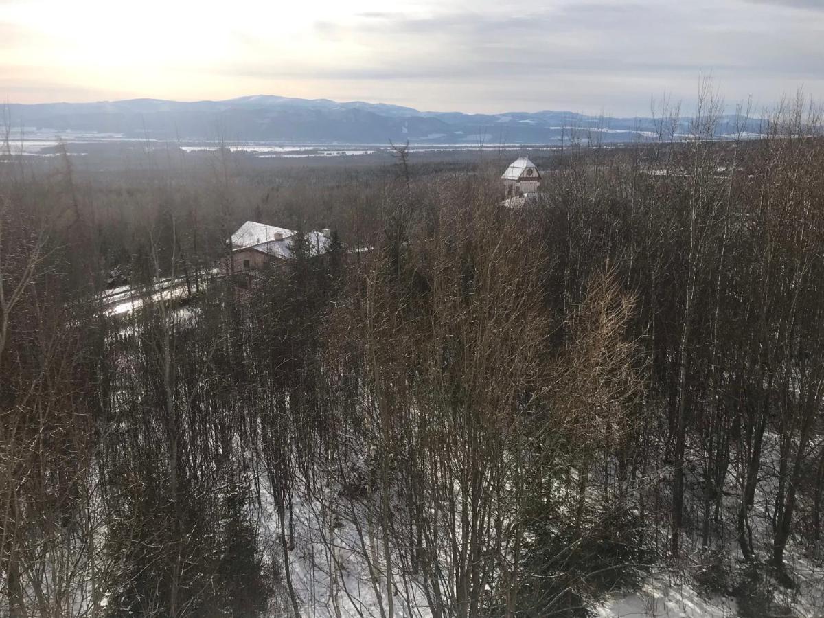 Apartmany Vila Vlasta Vysoké Tatry Eksteriør bilde